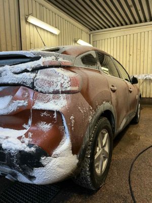 imgi_13_a0308ab2-a921-4650-9449-e99b9de2248c imgi_13_a0308ab2-a921-4650-9449-e99b9de2248c